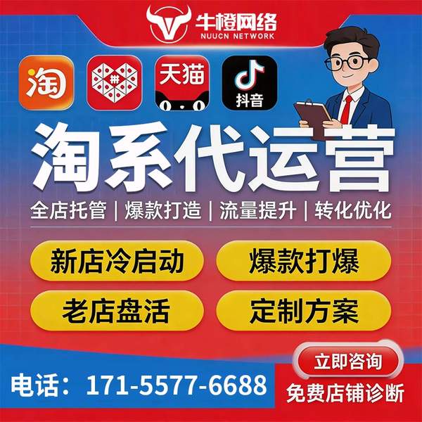 临夏电商代运营