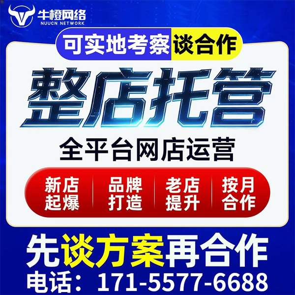 临夏电商代运营