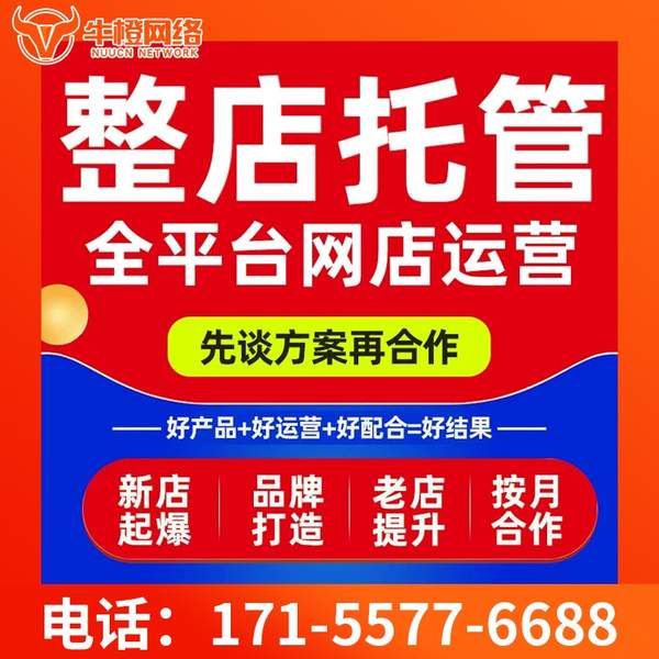 临夏电商代运营