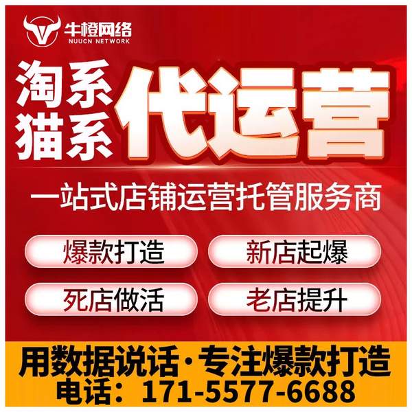临夏电商代运营